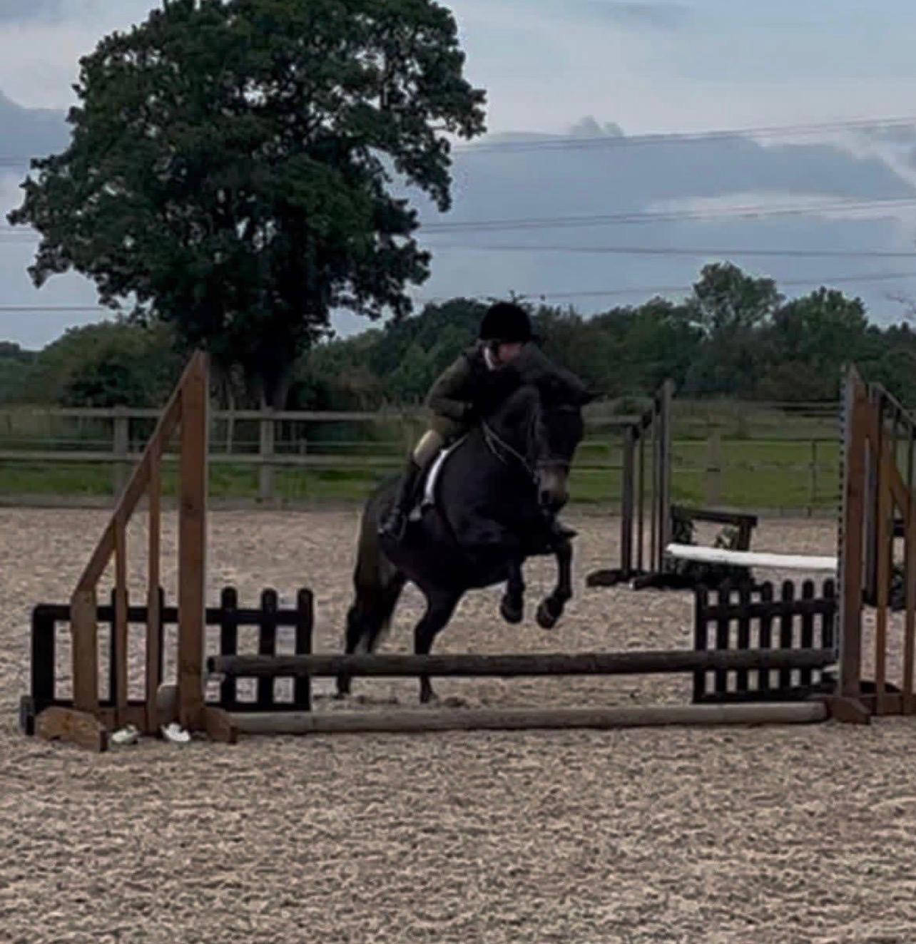 Edenthorpe Equestrian