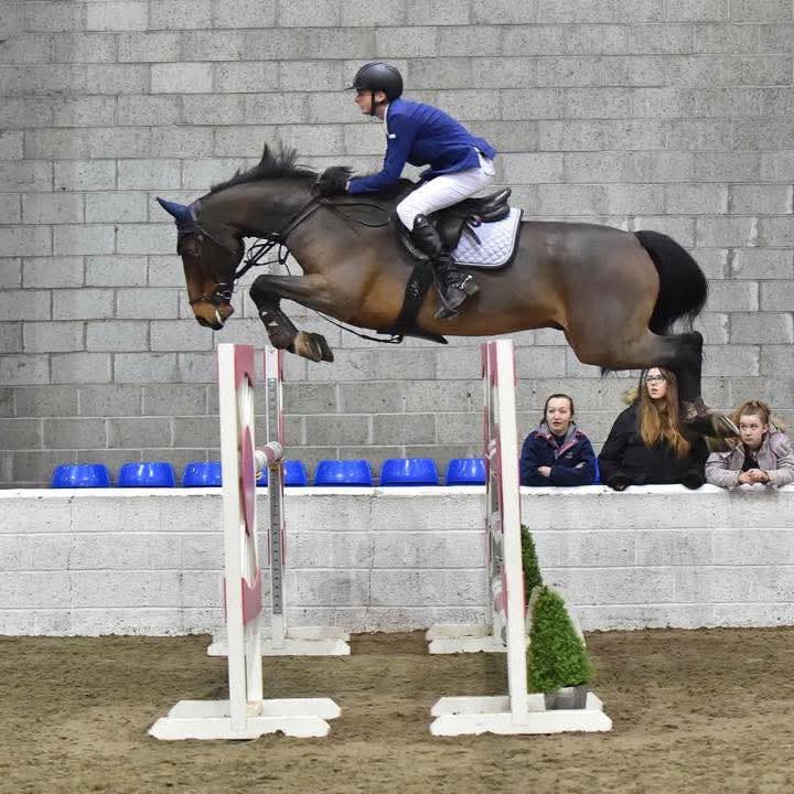 Fox Folly Stud and Livery