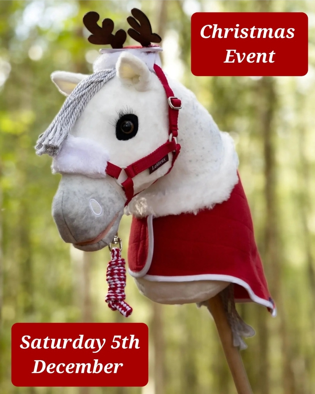 Spring Hall Equestrian Centre - Hobby Horse Competitions